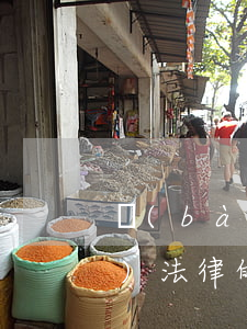 報(bào)刊書(shū)籍對(duì)法律的解釋是否有效？